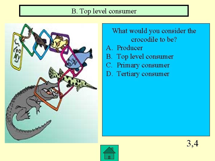 B. Top level consumer What would you consider the crocodile to be? A. Producer