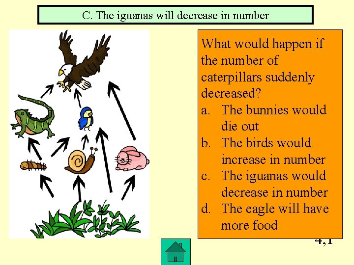 C. The iguanas will decrease in number What would happen if the number of