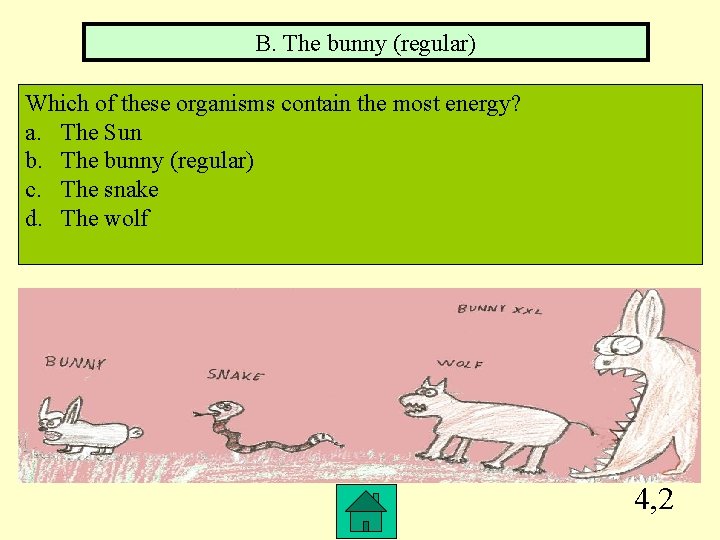 B. The bunny (regular) Which of these organisms contain the most energy? a. The