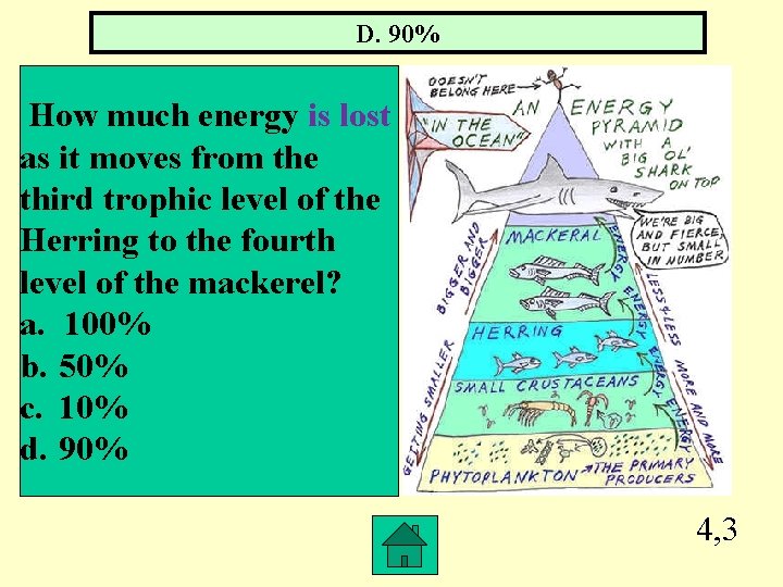 D. 90% How much energy is lost as it moves from the third trophic