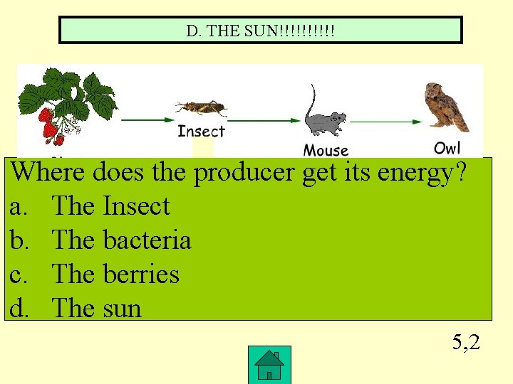 D. THE SUN!!!!! Where does the producer get its energy? a. The Insect b.