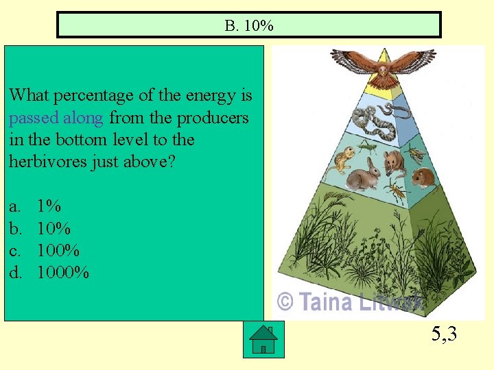B. 10% What percentage of the energy is passed along from the producers in
