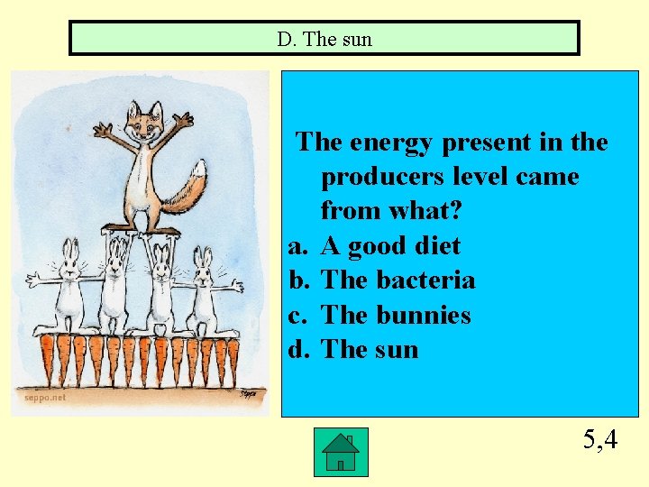 D. The sun The energy present in the producers level came from what? a.