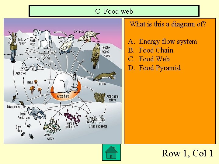 C. Food web What is this a diagram of? A. B. C. D. Energy