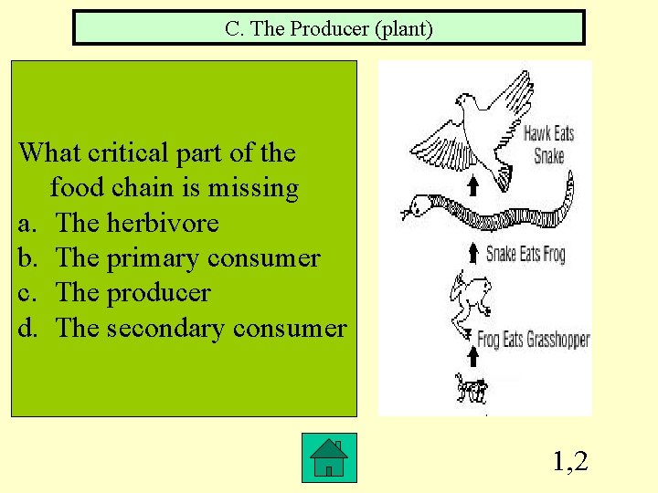 C. The Producer (plant) What critical part of the food chain is missing a.