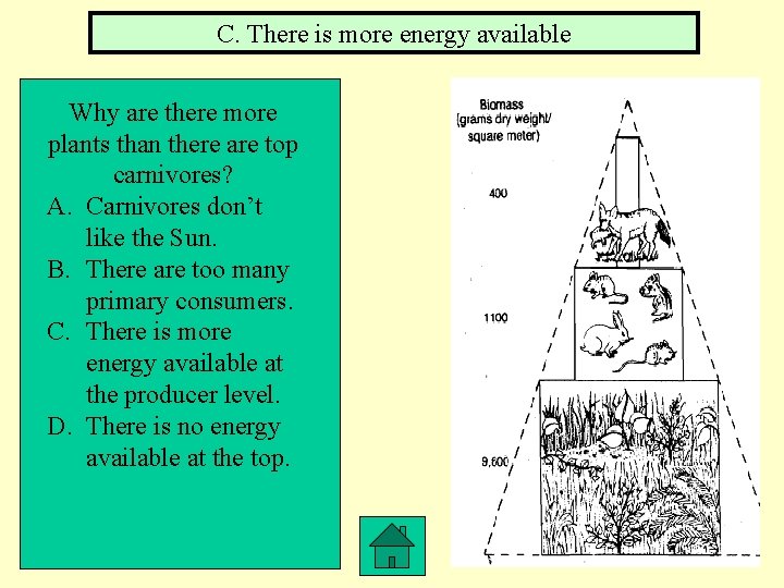 C. There is more energy available Why are there more plants than there are