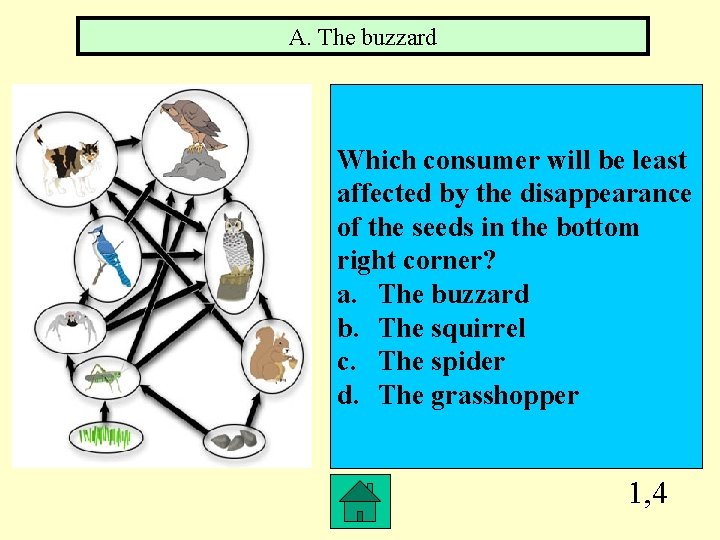 A. The buzzard Which consumer will be least affected by the disappearance of the