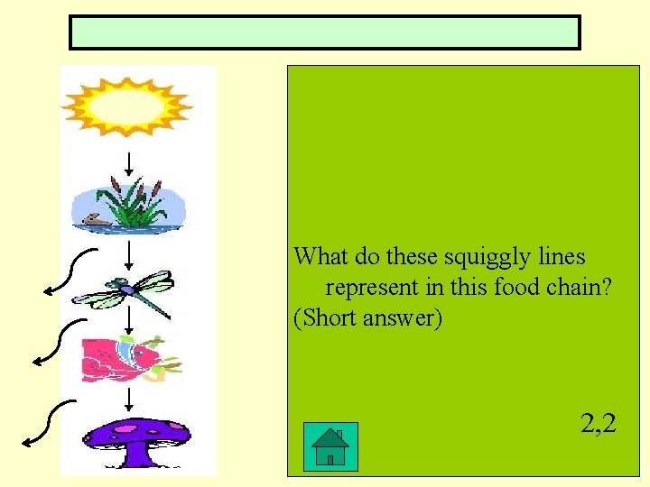 What do these squiggly lines represent in this food chain? (Short answer) 2, 2