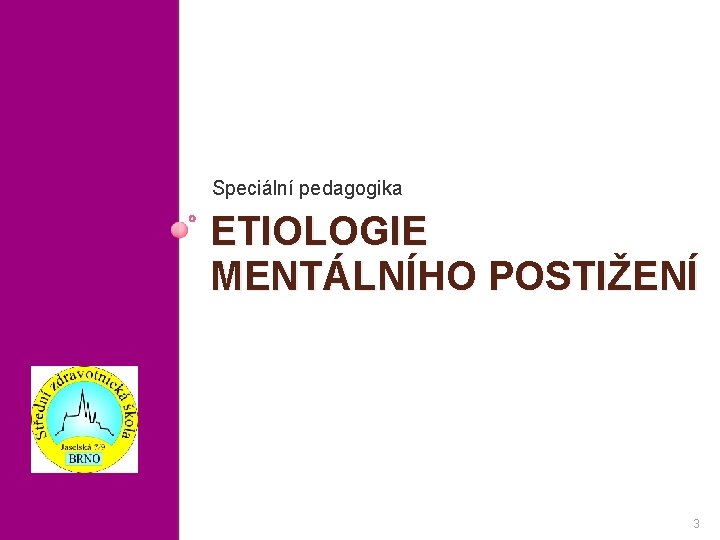 Speciální pedagogika ETIOLOGIE MENTÁLNÍHO POSTIŽENÍ 3 