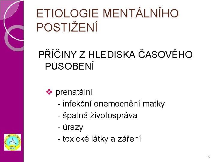 ETIOLOGIE MENTÁLNÍHO POSTIŽENÍ PŘÍČINY Z HLEDISKA ČASOVÉHO PŮSOBENÍ v prenatální - infekční onemocnění matky