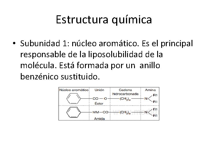 Estructura química • Subunidad 1: núcleo aromático. Es el principal responsable de la liposolubilidad