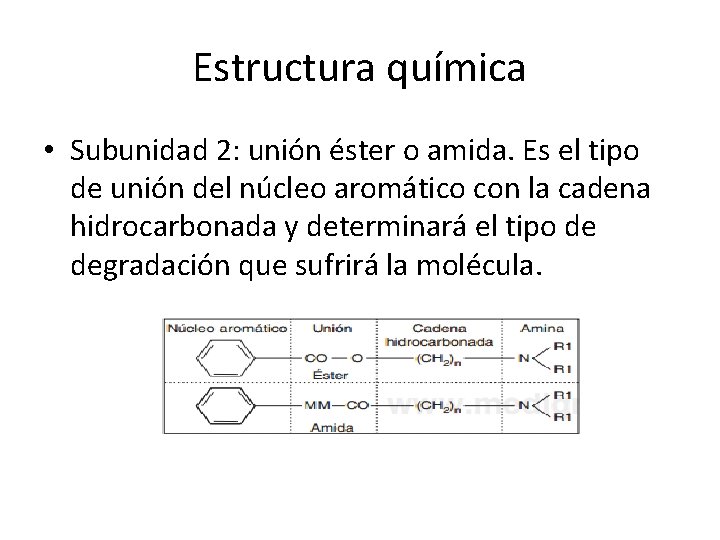 Estructura química • Subunidad 2: unión éster o amida. Es el tipo de unión