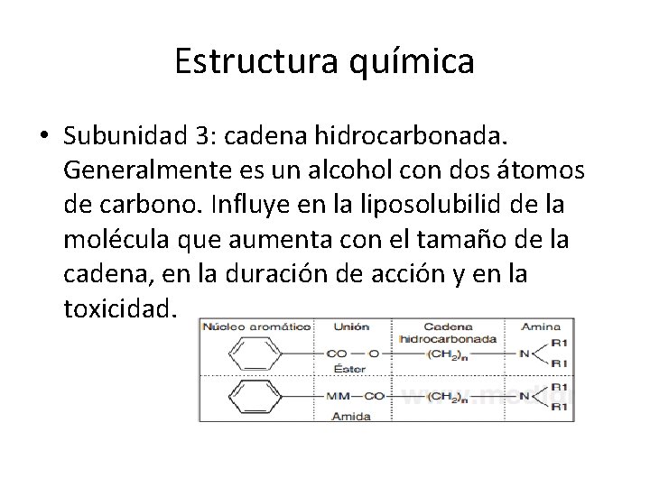Estructura química • Subunidad 3: cadena hidrocarbonada. Generalmente es un alcohol con dos átomos