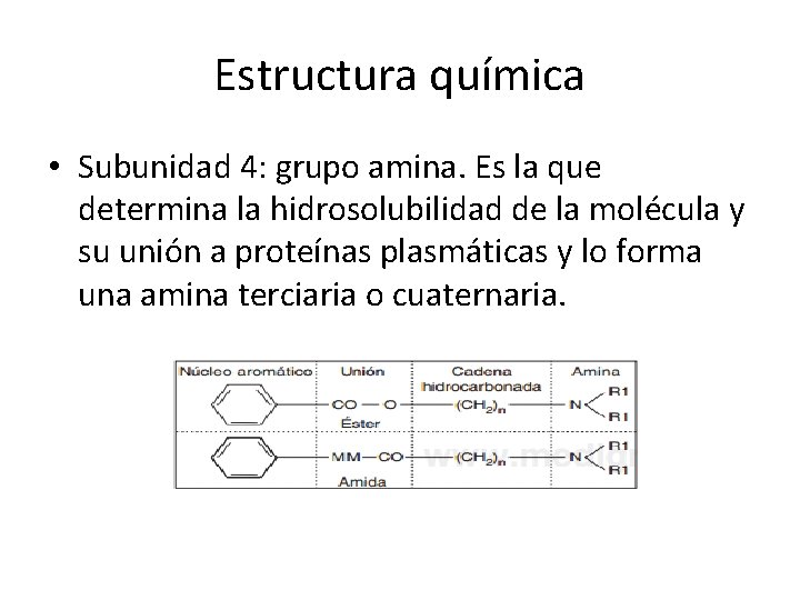 Estructura química • Subunidad 4: grupo amina. Es la que determina la hidrosolubilidad de