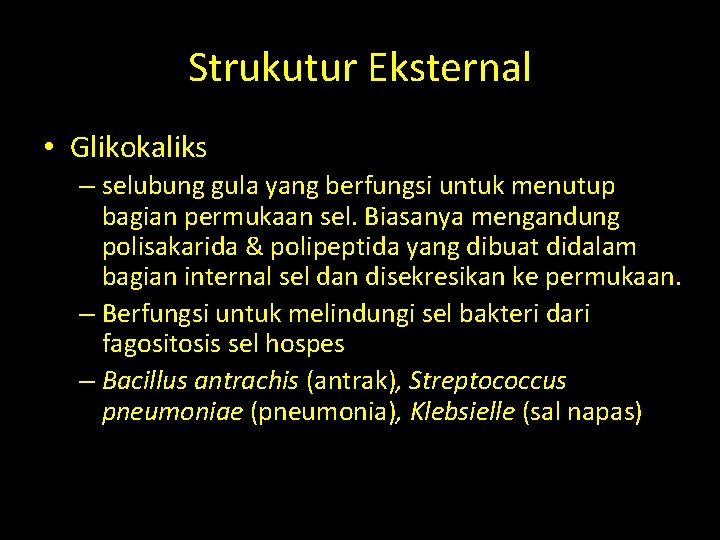 Strukutur Eksternal • Glikokaliks – selubung gula yang berfungsi untuk menutup bagian permukaan sel.
