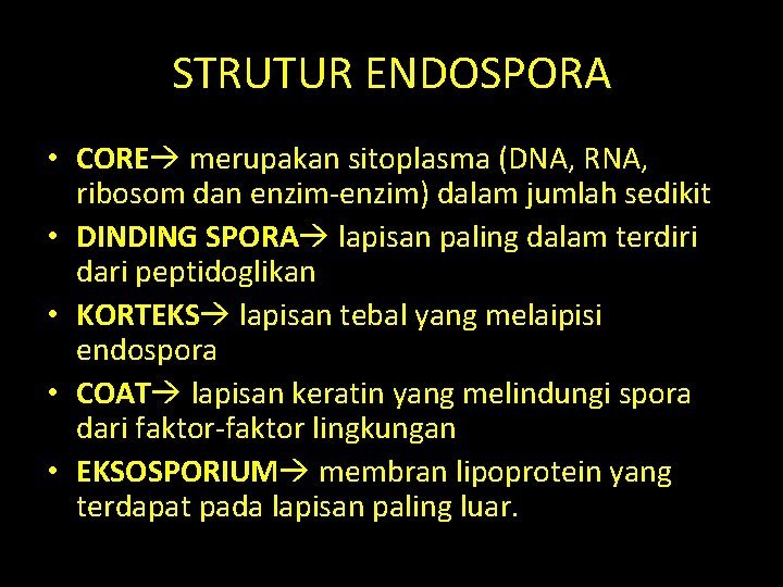 STRUTUR ENDOSPORA • CORE merupakan sitoplasma (DNA, RNA, ribosom dan enzim-enzim) dalam jumlah sedikit