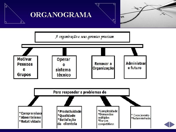 b ORGANOGRAMA b a a 