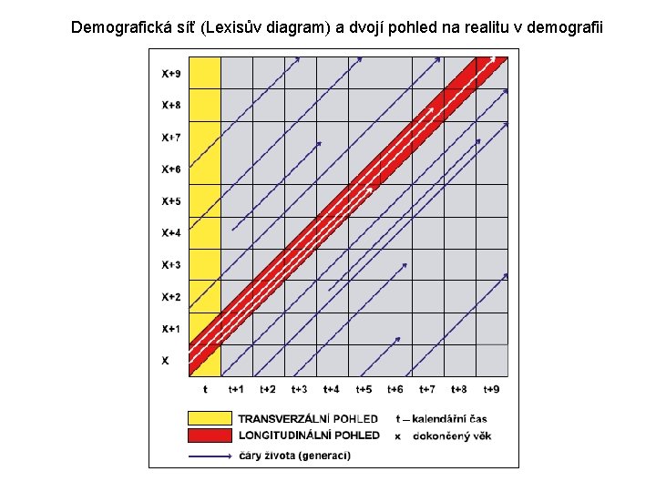 Demografická síť (Lexisův diagram) a dvojí pohled na realitu v demografii 