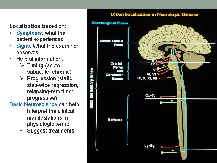 Localization based on: • Symptoms: what the patient experiences • Signs: What the examiner