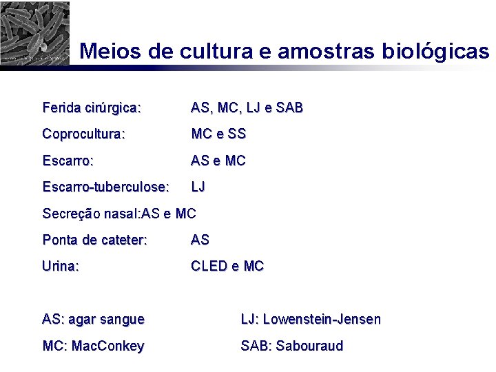 Meios de cultura e amostras biológicas Ferida cirúrgica: AS, MC, LJ e SAB Coprocultura:
