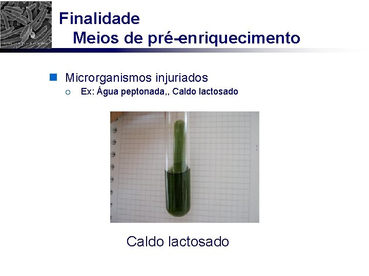 Finalidade Meios de pré-enriquecimento n Microrganismos injuriados ¡ Ex: Água peptonada, , Caldo lactosado