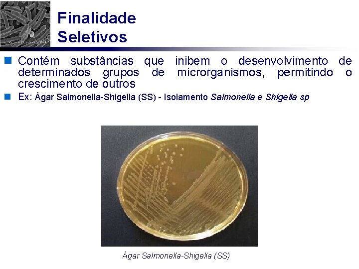 Finalidade Seletivos n Contém substâncias que inibem o desenvolvimento de determinados grupos de microrganismos,