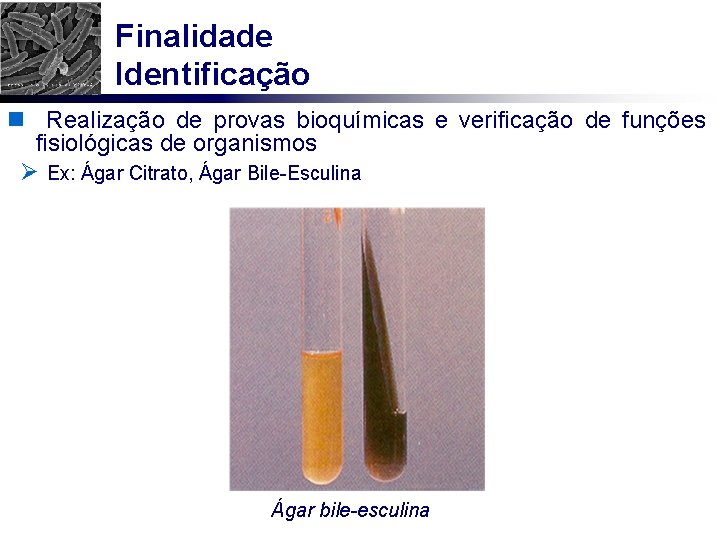 Finalidade Identificação n Realização de provas bioquímicas e verificação de funções fisiológicas de organismos