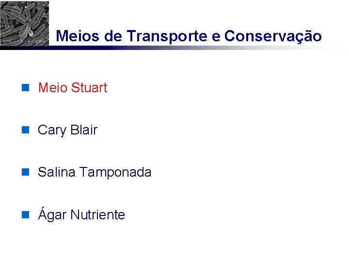 Meios de Transporte e Conservação n Meio Stuart n Cary Blair n Salina Tamponada