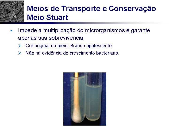 Meios de Transporte e Conservação Meio Stuart § Impede a multiplicação do microrganismos e