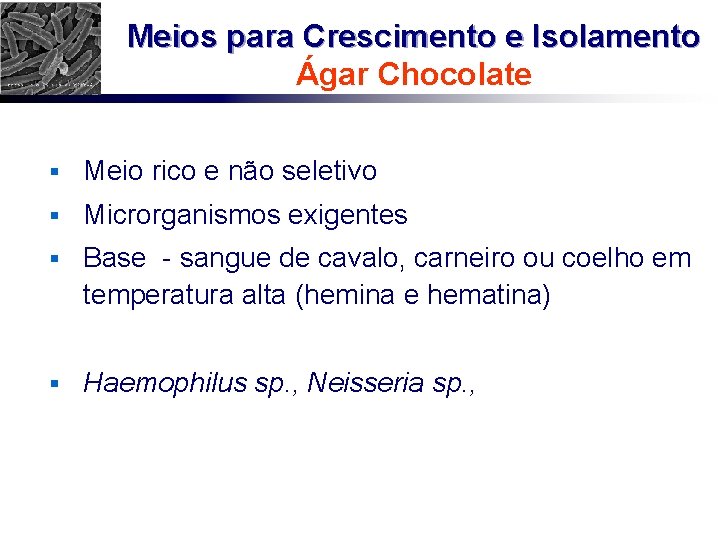 Meios para Crescimento e Isolamento Ágar Chocolate § Meio rico e não seletivo §