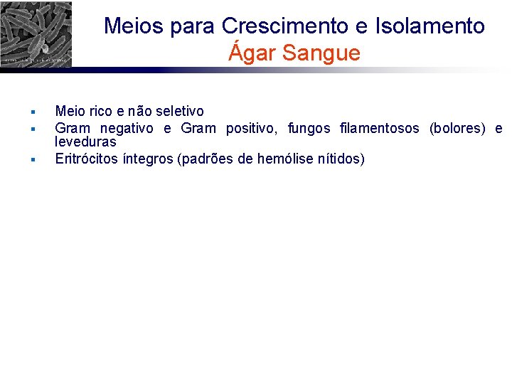 Meios para Crescimento e Isolamento Ágar Sangue § § § Meio rico e não