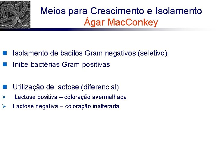 Meios para Crescimento e Isolamento Ágar Mac. Conkey n Isolamento de bacilos Gram negativos