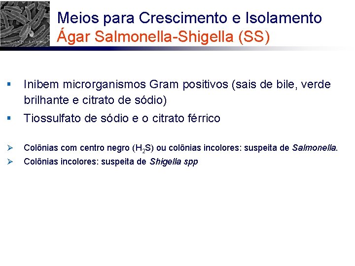 Meios para Crescimento e Isolamento Ágar Salmonella-Shigella (SS) § Inibem microrganismos Gram positivos (sais