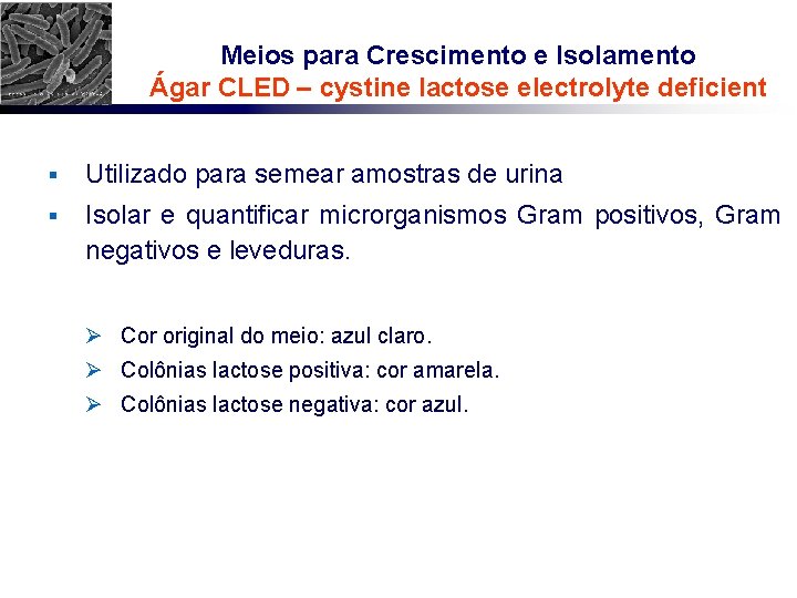 Meios para Crescimento e Isolamento Ágar CLED – cystine lactose electrolyte deficient § Utilizado