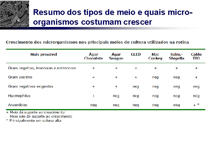 Resumo dos tipos de meio e quais microorganismos costumam crescer 