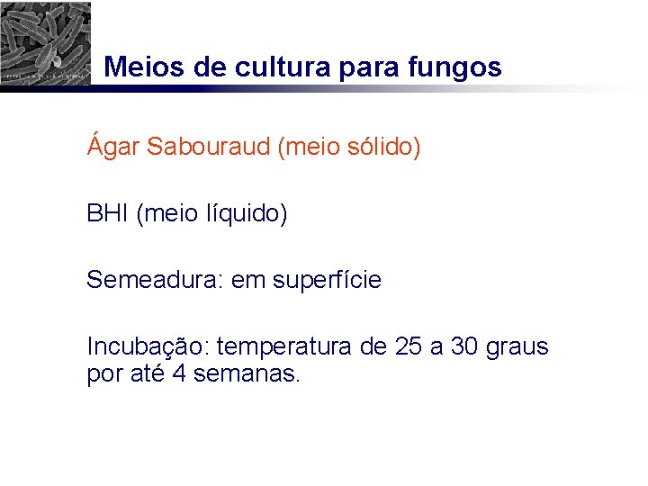 Meios de cultura para fungos Ágar Sabouraud (meio sólido) BHI (meio líquido) Semeadura: em