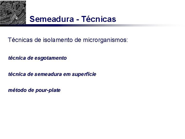 Semeadura - Técnicas de isolamento de microrganismos: técnica de esgotamento técnica de semeadura em