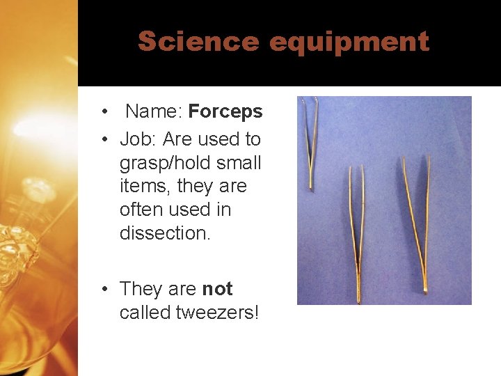 Science equipment • Name: Forceps • Job: Are used to grasp/hold small items, they