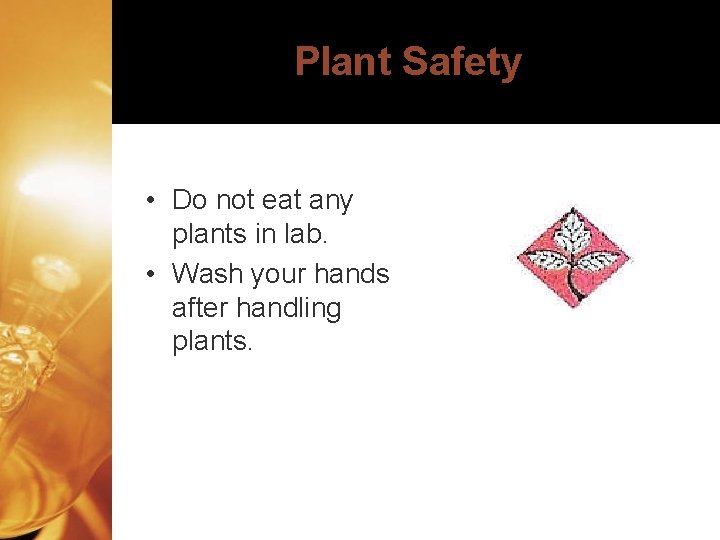 Plant Safety • Do not eat any plants in lab. • Wash your hands