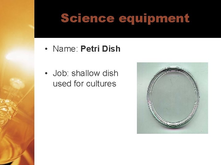 Science equipment • Name: Petri Dish • Job: shallow dish used for cultures 