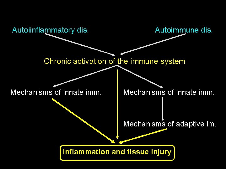 Autoiinflammatory dis. Autoimmune dis. Chronic activation of the immune system Mechanisms of innate imm.