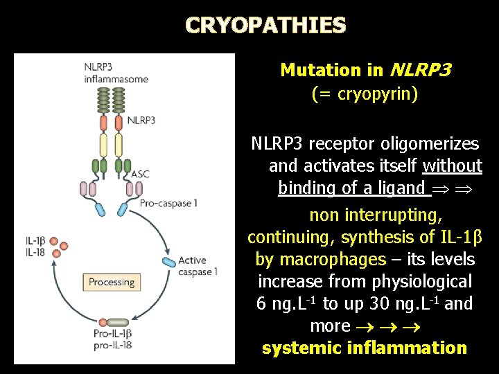 CRYOPATHIES Mutation in NLRP 3 (= cryopyrin) NLRP 3 receptor oligomerizes and activates itself