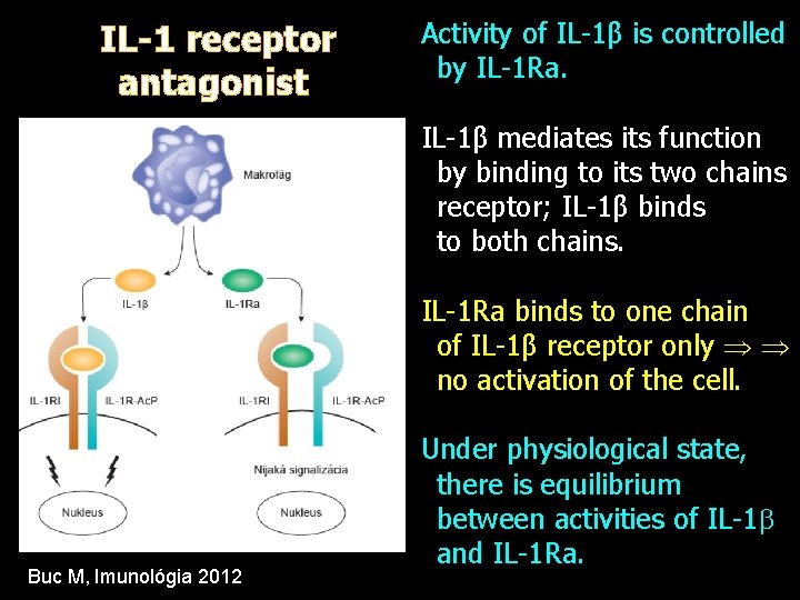 IL-1 receptor antagonist Activity of IL-1β is controlled by IL-1 Ra. IL-1β mediates its