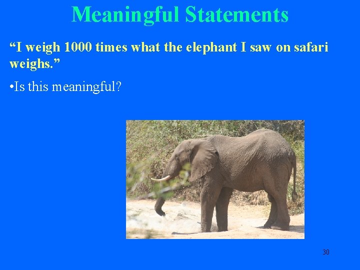 Meaningful Statements “I weigh 1000 times what the elephant I saw on safari weighs.