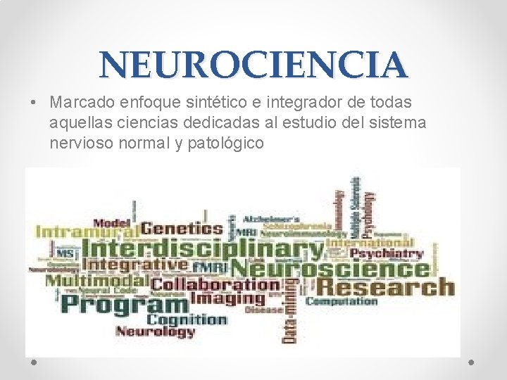 NEUROCIENCIA • Marcado enfoque sintético e integrador de todas aquellas ciencias dedicadas al estudio