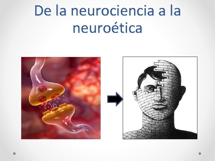 De la neurociencia a la neuroética 