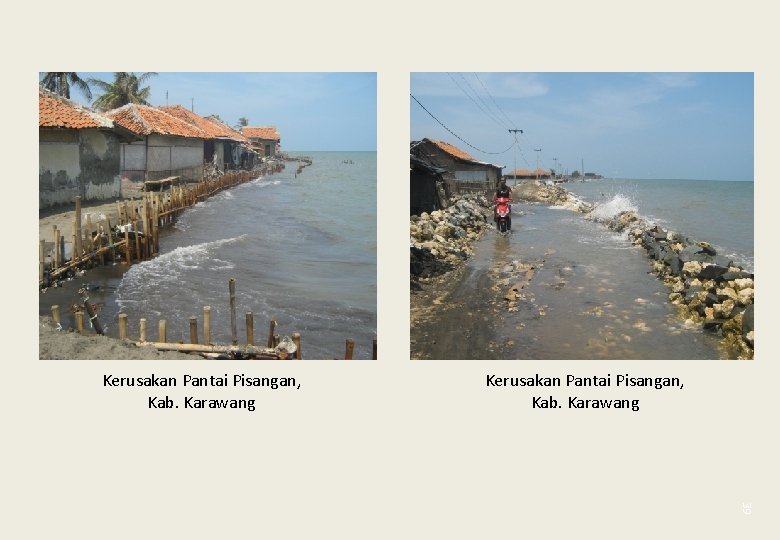 Kerusakan Pantai Pisangan, Kab. Karawang 39 