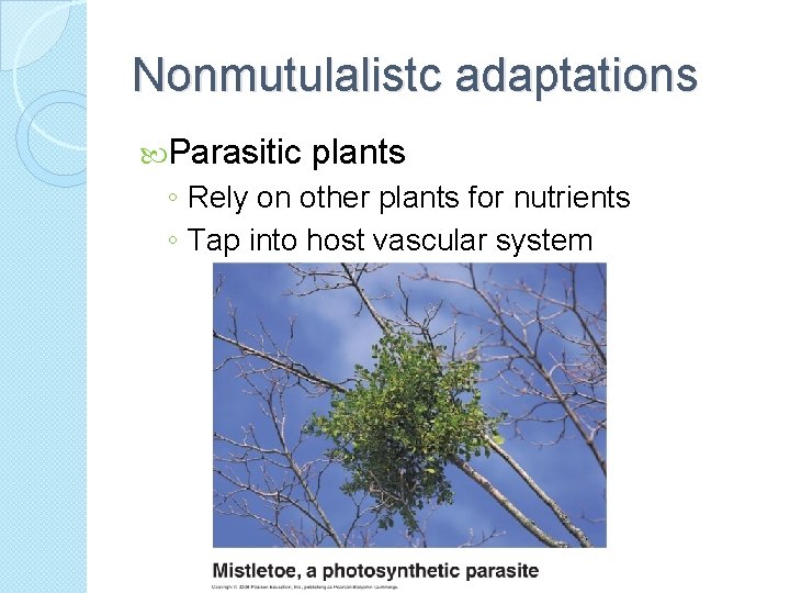 Nonmutulalistc adaptations Parasitic plants ◦ Rely on other plants for nutrients ◦ Tap into