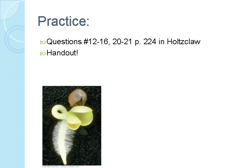 Practice: Questions Handout! #12 -16, 20 -21 p. 224 in Holtzclaw 