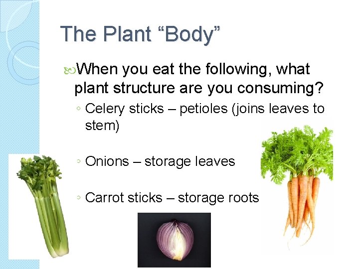 The Plant “Body” When you eat the following, what plant structure are you consuming?